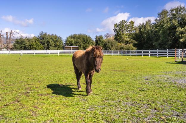 5400 Johnston Road Back