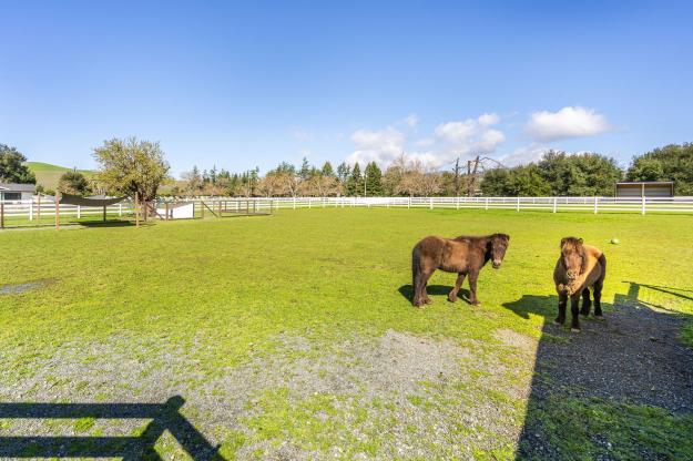 5400 Johnston Road Back