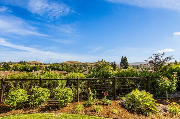 4040 Westminster Pl Backyard