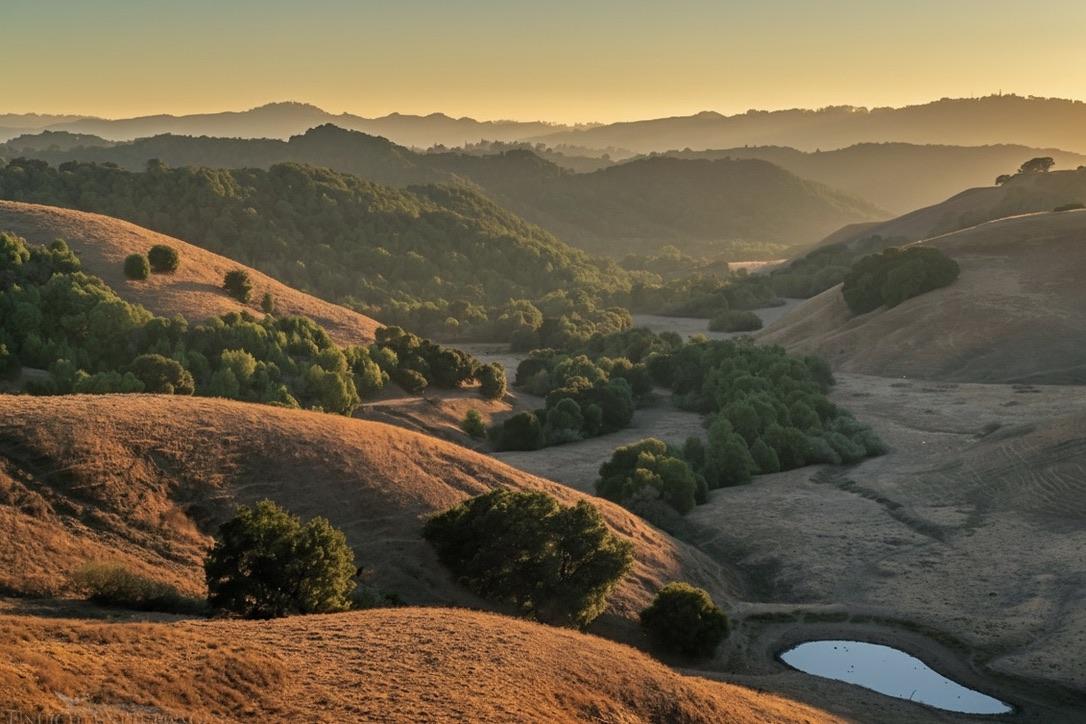 East Bay homes representing current real estate market conditions including rising inventory and stabilizing prices